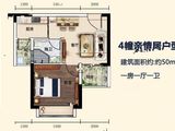 侨林湾_1室1厅1卫 建面50平米