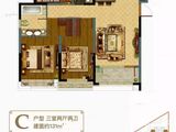 长青艺墅_3室2厅2卫 建面131平米