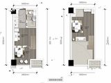 天府MIC_1室1厅1卫 建面40平米