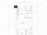 中铁卓越阁_1号楼C3户型 建面45平米