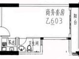 龙成国际_平层公寓乙03户型 建面50平米