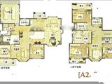 大众湖滨庄园_户型2 建面465平米