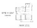 龙记玖樾_3室2厅2卫 建面120平米